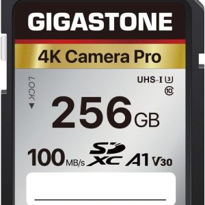 Gigastone 256GB SDXC Memory Card 4K Pro Series Transfer Spee...