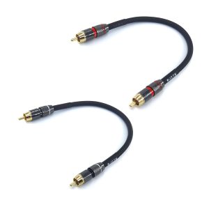 WJSTN Suanqi RCA to RCA Cable,Suitable for Home Theater, Amp...