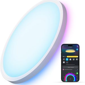Govee Smart Ceiling Light, RGBIC LED Ceiling Light Fixture, ...