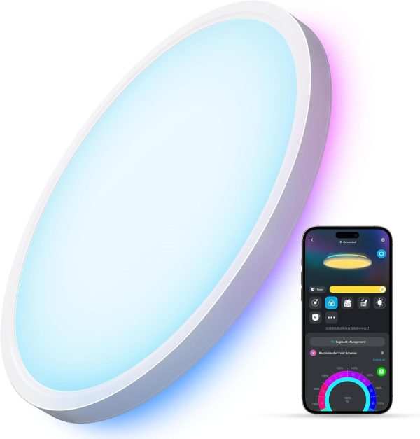 Govee Smart Ceiling Light, RGBIC LED Ceiling Light Fixture, ...
