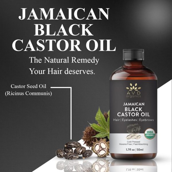 AVD ORGANICS Jamaican Black Castor Oil | 100% Pure and Natur... - Image 3