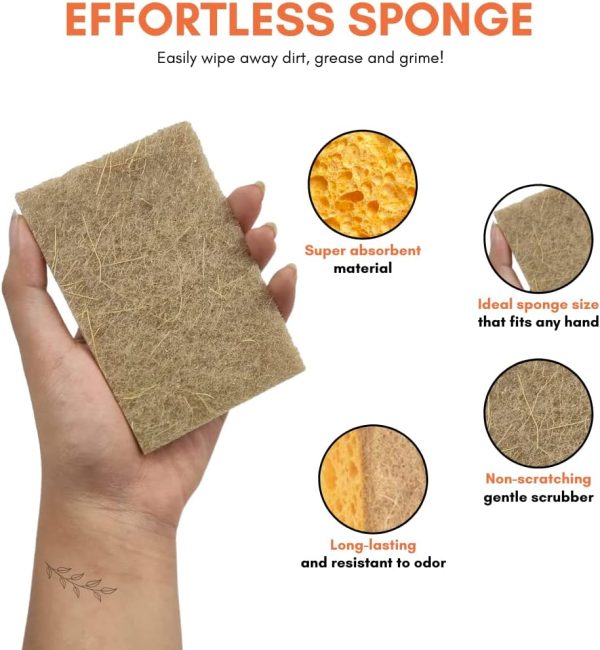 Hot Homey Non-Scratch Plant Based Scrub Sponge - Coconut Fib... - Image 4