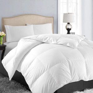EASELAND Queen Soft Quilted Down Alternative Comforter All S...