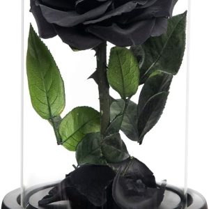 NATROSES Handmade Preserved Roses in Glass Dome, Black Roses...