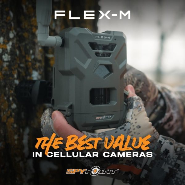 SPYPOINT FLEX-M Twin Pack Cellular Trail Cameras - Best Hunt... - Image 2