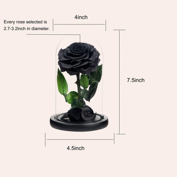 NATROSES Handmade Preserved Roses in Glass Dome, Black Roses... - Image 2