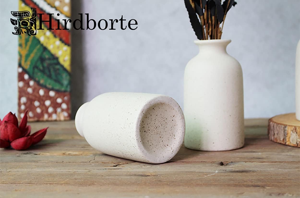 2Pcs Ceramic Decorative Vase, Farmhouse Decor Small Flower V…
