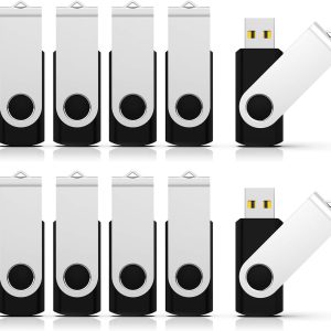 RAOYI 10 Pack 32GB USB Flash Drives, USB 2.0, Swivel Design ...