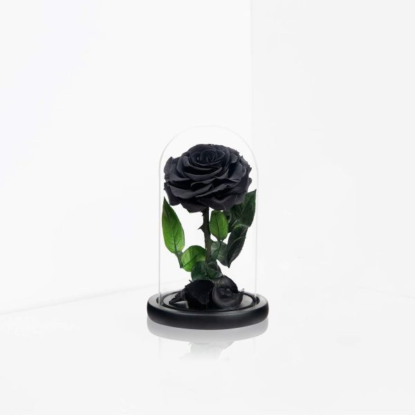 NATROSES Handmade Preserved Roses in Glass Dome, Black Roses... - Image 3