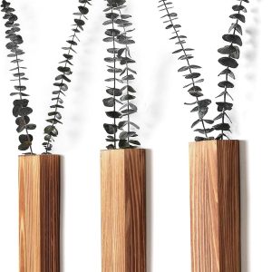 Sawoake Wall Planters- Modern Wood Wall Decor for Bedroom an...