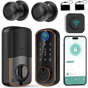 Hornbill WiFi Smart Door Lock Set: Keyless Entry Door Lock D...