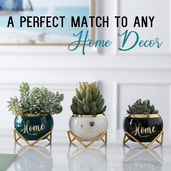 Housewarming Gifts for New Home - 3 Succulent Pots for Plant... - Image 3