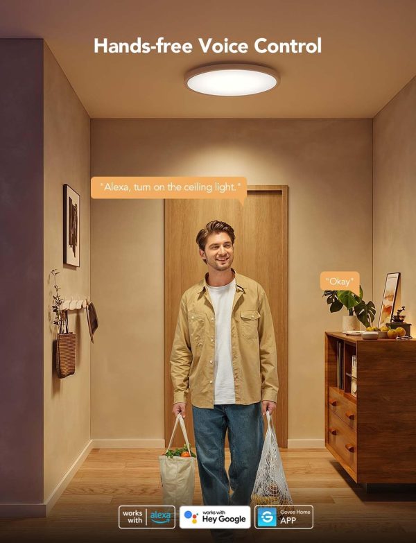 Govee Smart Ceiling Light, RGBIC LED Ceiling Light Fixture, ... - Image 4