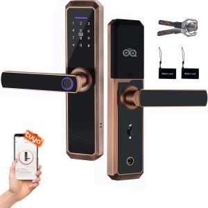 Smart Lock,Keyless Entry Door Lock with Two-Way Handle, Fing...