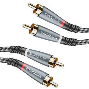 BlueRigger RCA Cable, 10FT (2RCA Male to 2RCA Stereo Audio C...