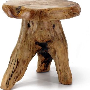 WELLAND Tree Stump Stool Live Edge, Natural Edge Side Table,...