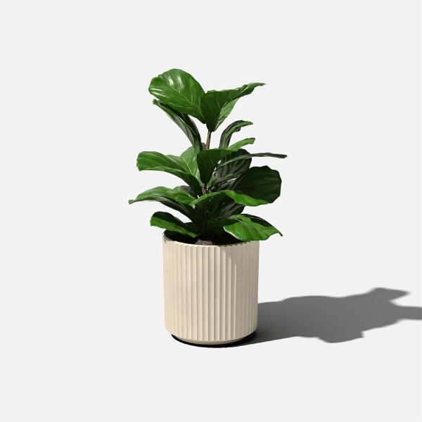 Veradek Demi Series Round Planter for Porch, Patio, Backyard... - Image 8