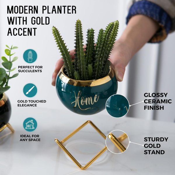 Housewarming Gifts for New Home - 3 Succulent Pots for Plant... - Image 2