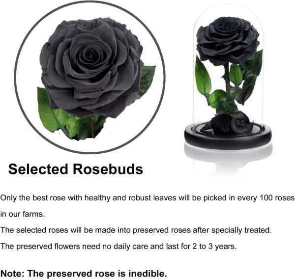 NATROSES Handmade Preserved Roses in Glass Dome, Black Roses... - Image 4