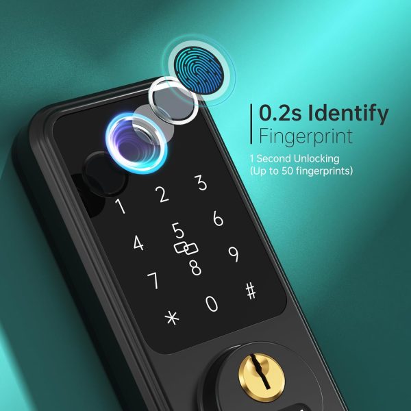 WiFi Smart Alexa Door Lock - Hornbill Remote Lock & Unlock -... - Image 3