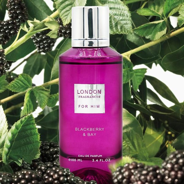 Fine Perfumery London Fragrances - Blackberry and Bay EDP Sp... - Image 2