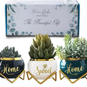 Housewarming Gifts for New Home - 3 Succulent Pots for Plant...