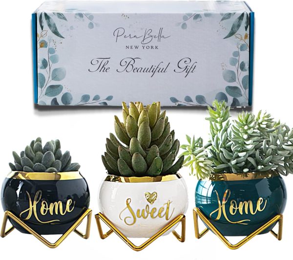 Housewarming Gifts for New Home - 3 Succulent Pots for Plant...
