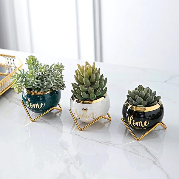 Housewarming Gifts for New Home - 3 Succulent Pots for Plant... - Image 7