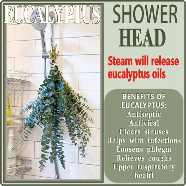 20 Pcs Preserved Dried Eucalyptus Stems, 17" Natural Fresh E... - Image 6