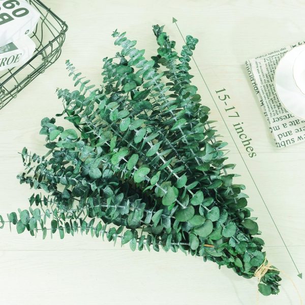 20 Pcs Preserved Dried Eucalyptus Stems, 17" Natural Fresh E... - Image 5