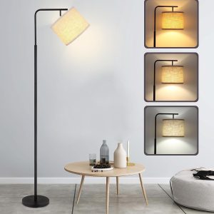 Ruiever Floor Lamp for Living Room with 3 Color Temperatures...