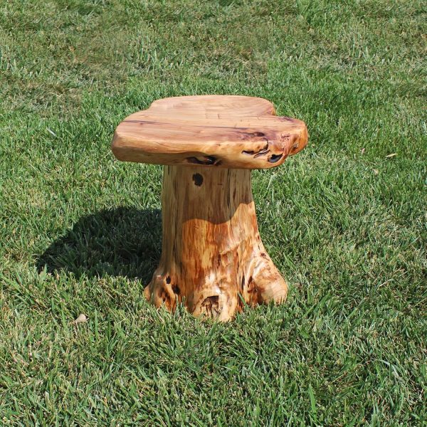 WELLAND Tree Stump Stool Live Edge, Natural Edge Side Table,... - Image 8